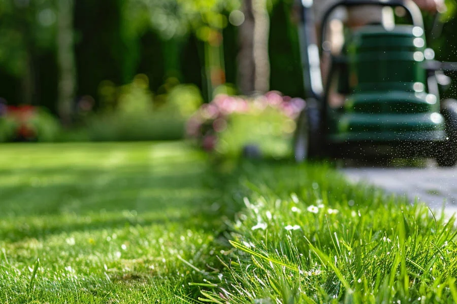 small grass mower